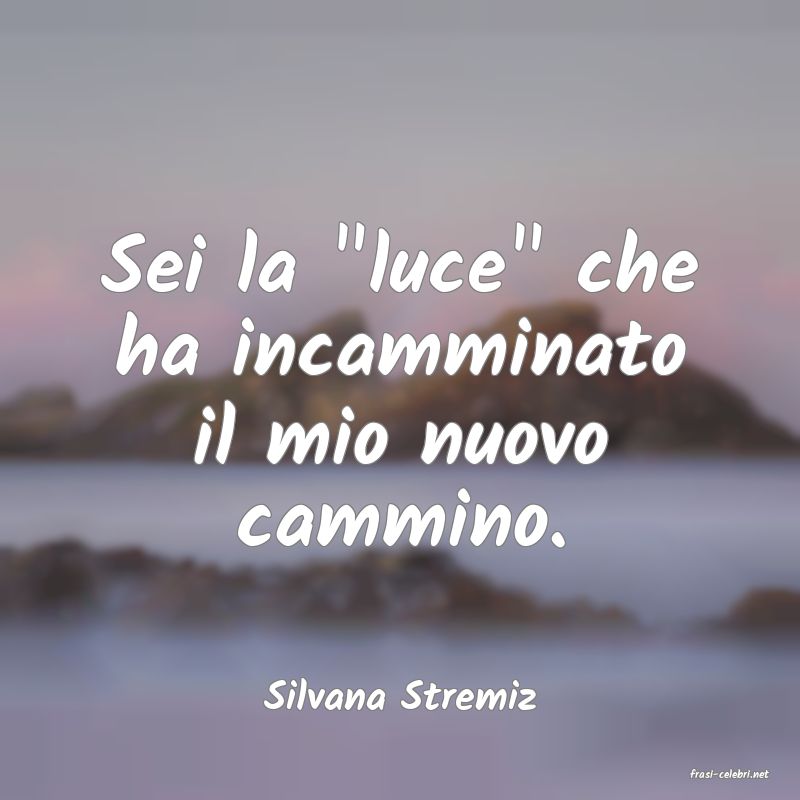 frasi di  Silvana Stremiz

