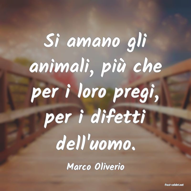 frasi di  Marco Oliverio
