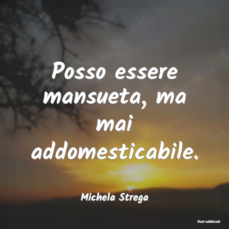 frasi di  Michela Strega
