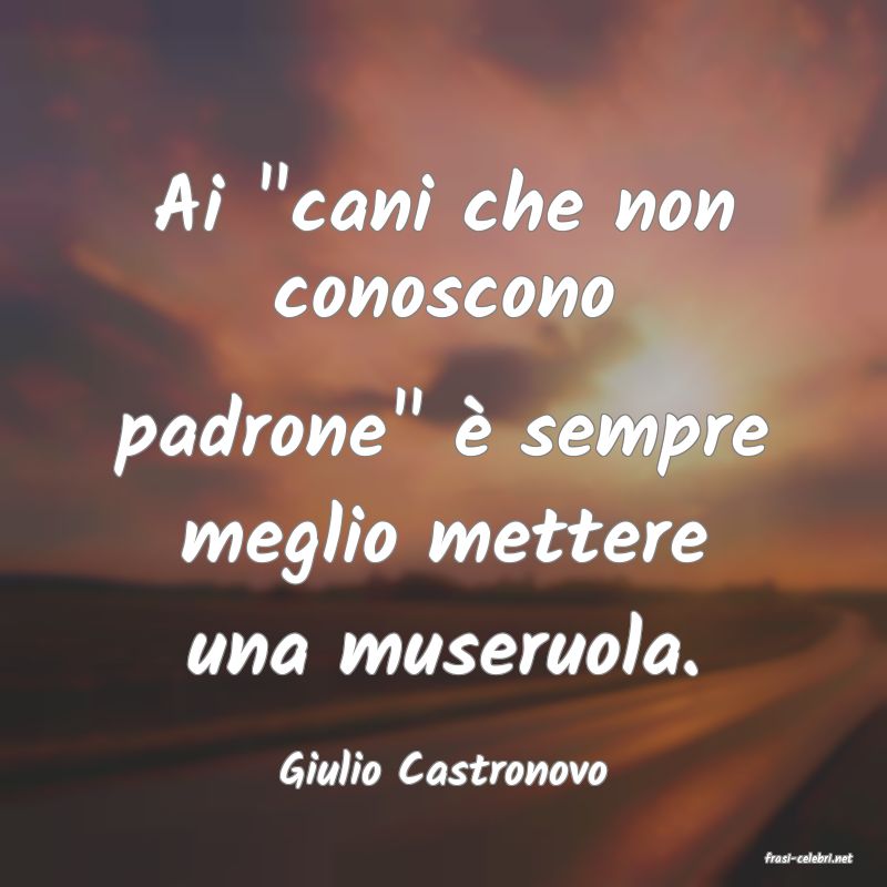 frasi di  Giulio Castronovo
