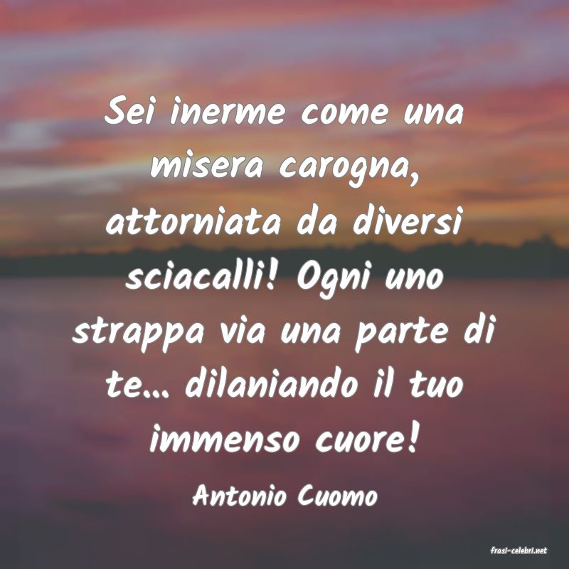 frasi di  Antonio Cuomo
