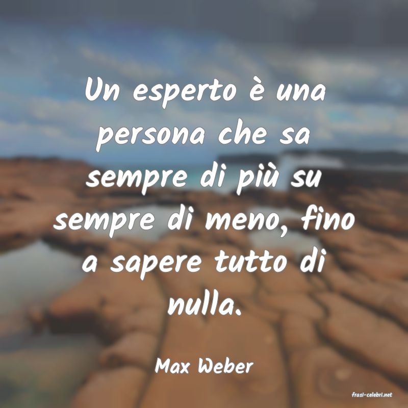 frasi di Max Weber