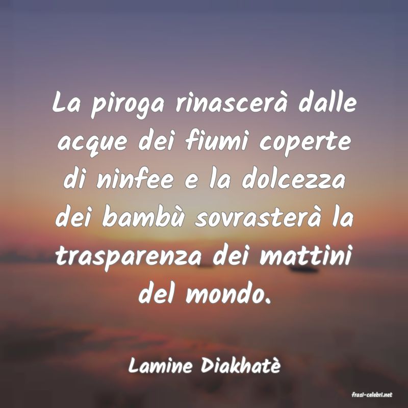 frasi di Lamine Diakhat