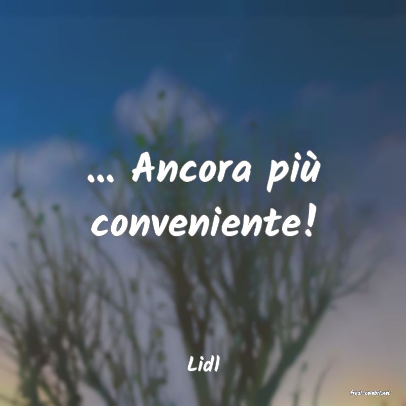 frasi di Lidl