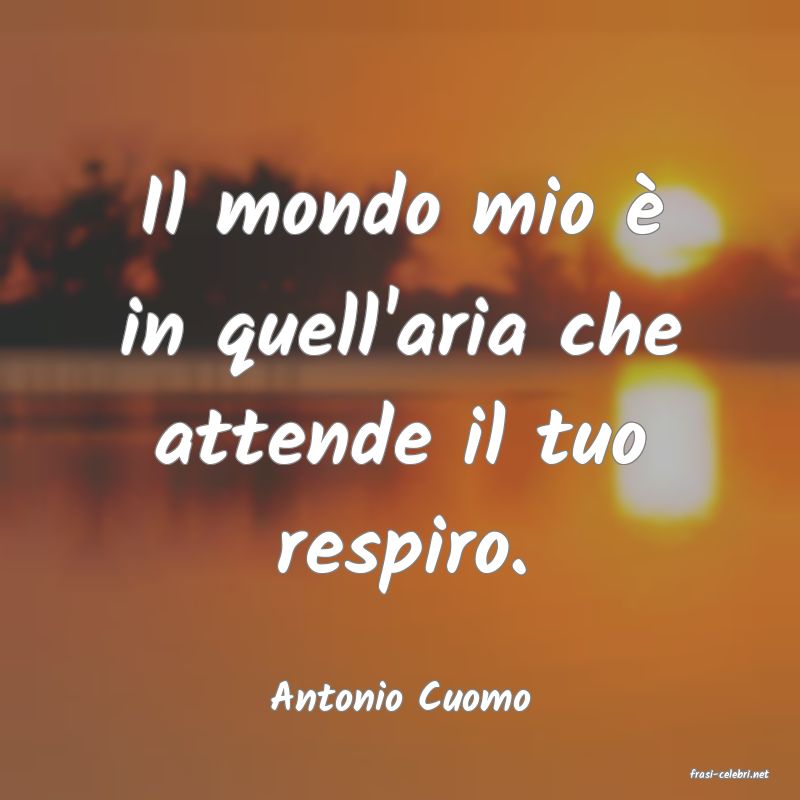 frasi di  Antonio Cuomo

