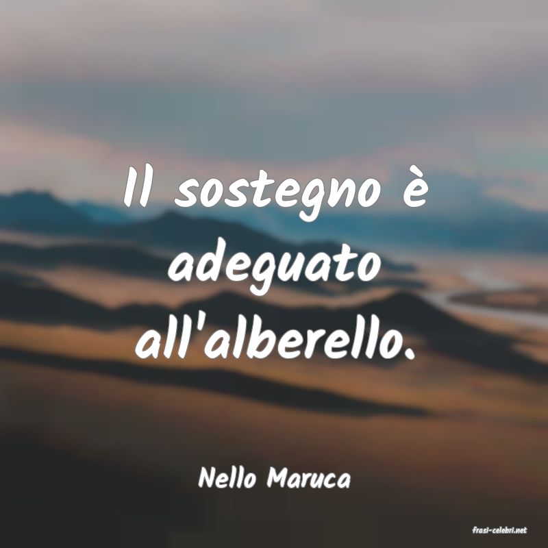 frasi di  Nello Maruca

