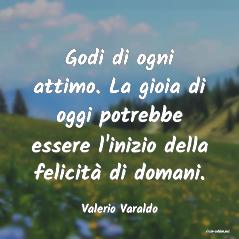 frasi di  Valerio Varaldo
