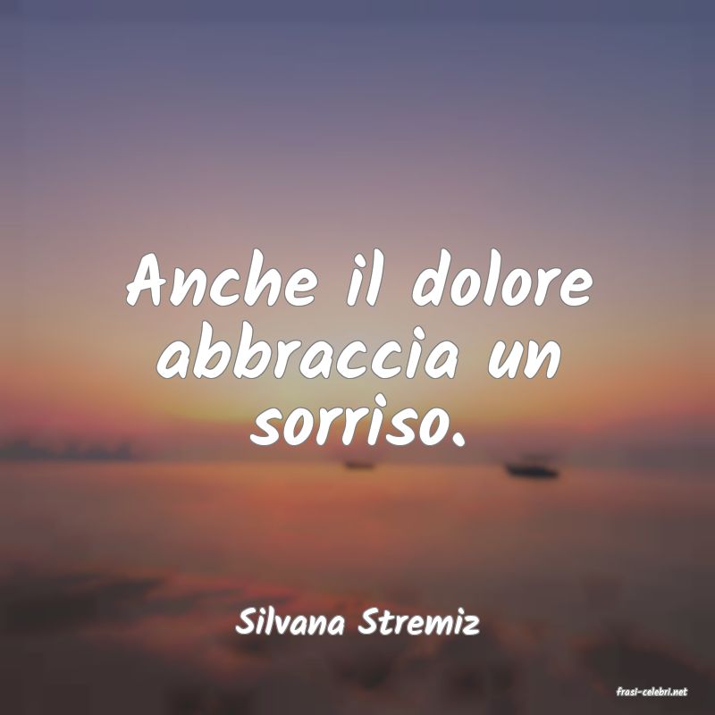 frasi di  Silvana Stremiz
