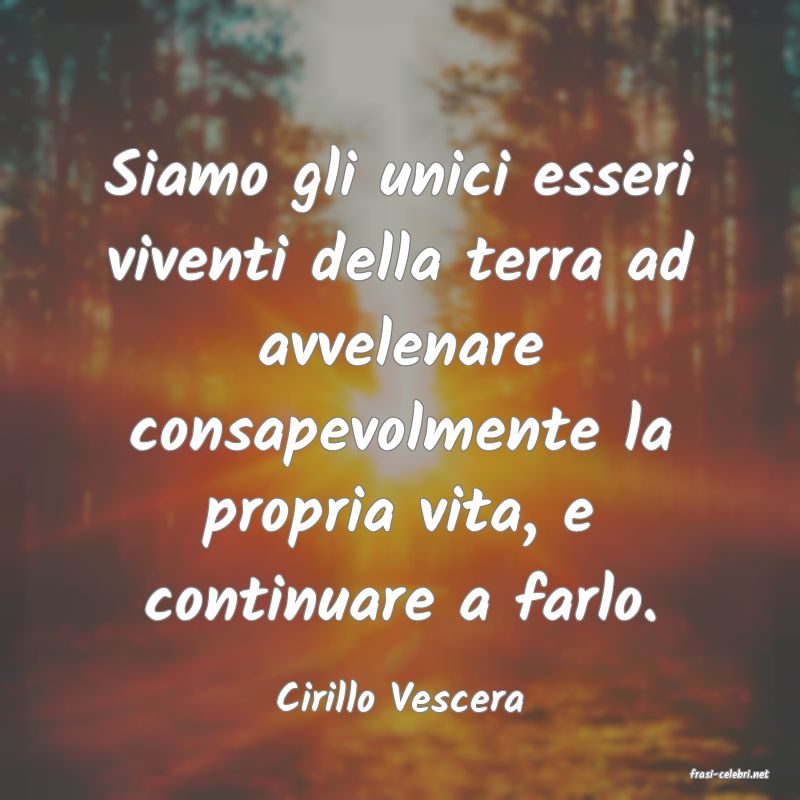 frasi di  Cirillo Vescera
