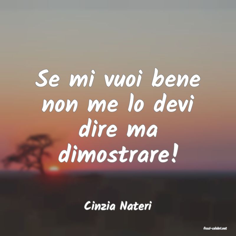 frasi di  Cinzia Nateri
