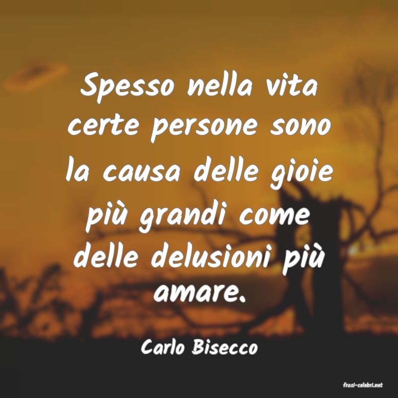 frasi di  Carlo Bisecco

