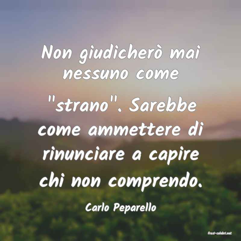 frasi di  Carlo Peparello
