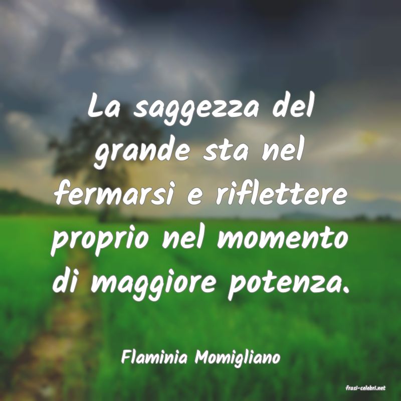 frasi di Flaminia Momigliano