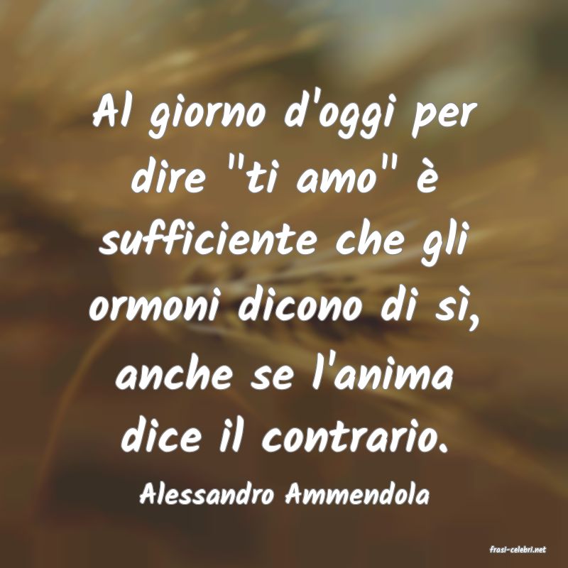 frasi di  Alessandro Ammendola
