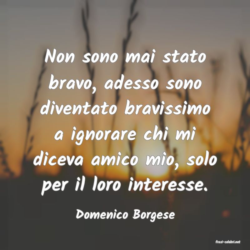 frasi di  Domenico Borgese
