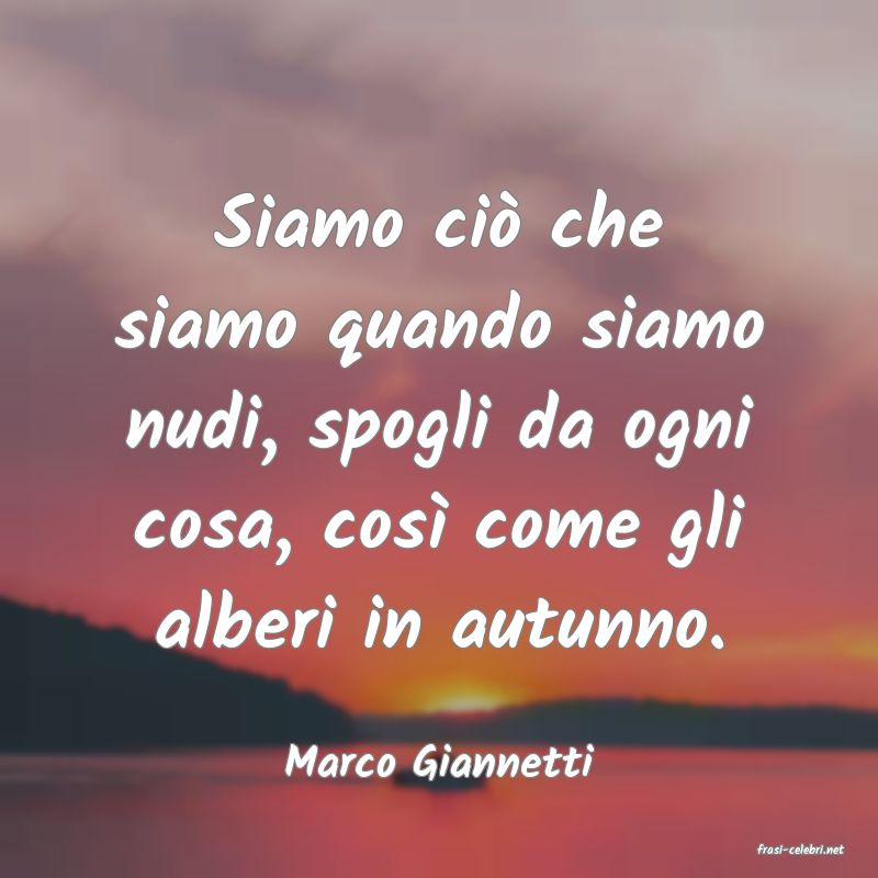 frasi di  Marco Giannetti
