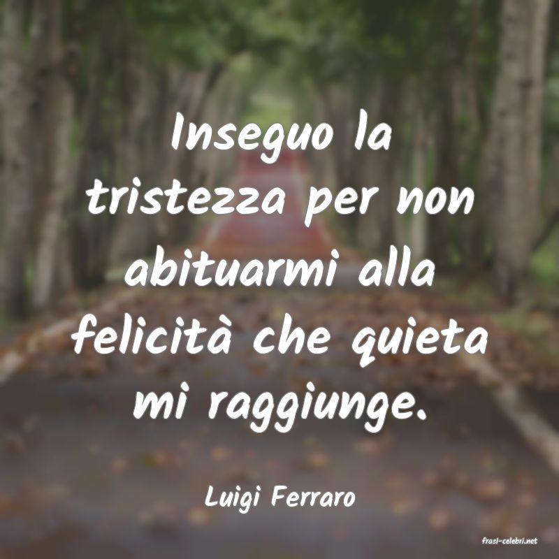 frasi di Luigi Ferraro
