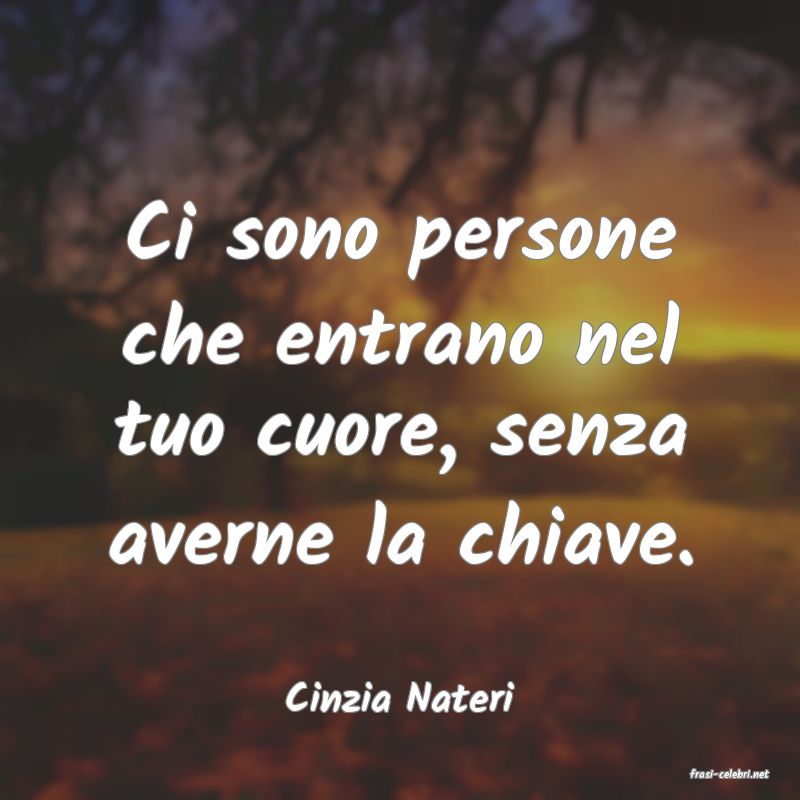 frasi di  Cinzia Nateri
