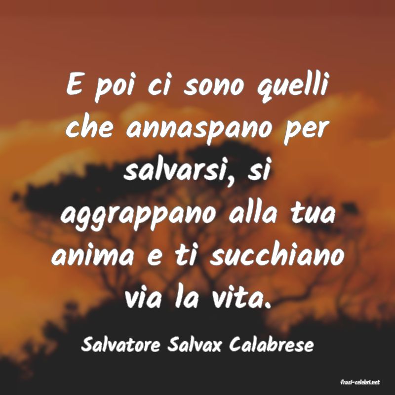 frasi di  Salvatore Salvax Calabrese
