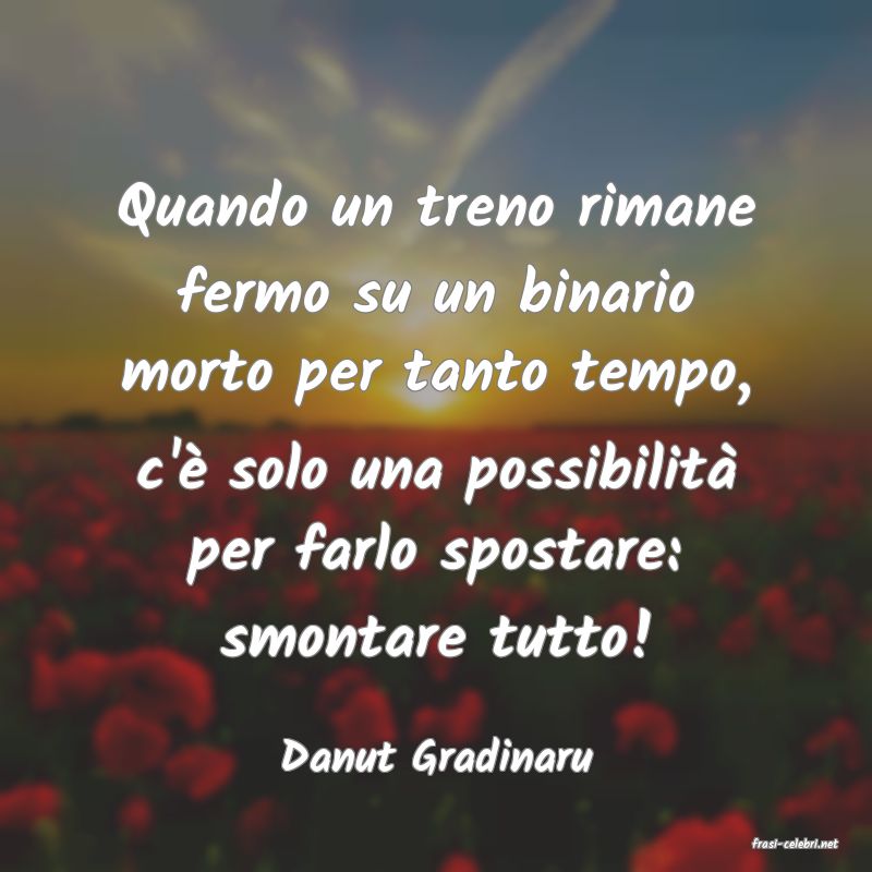 frasi di  Danut Gradinaru
