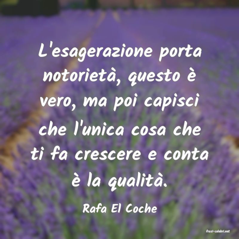 frasi di  Rafa El Coche
