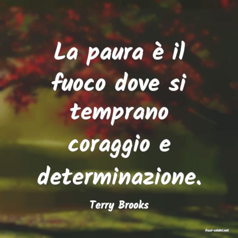 frasi di  Terry Brooks
