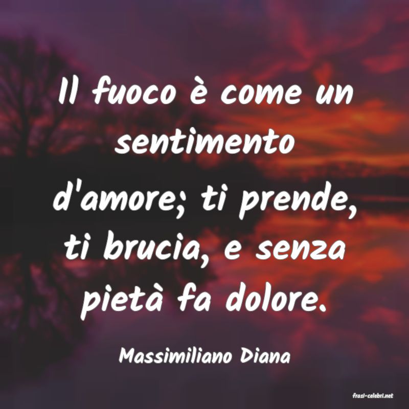 frasi di  Massimiliano Diana
