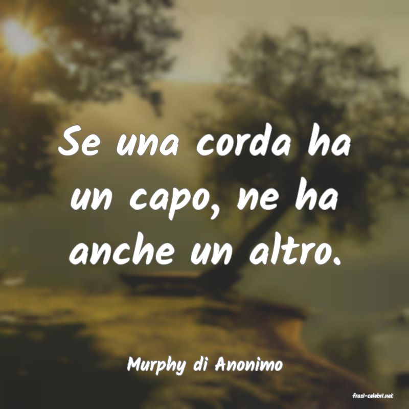 frasi di Murphy di Anonimo