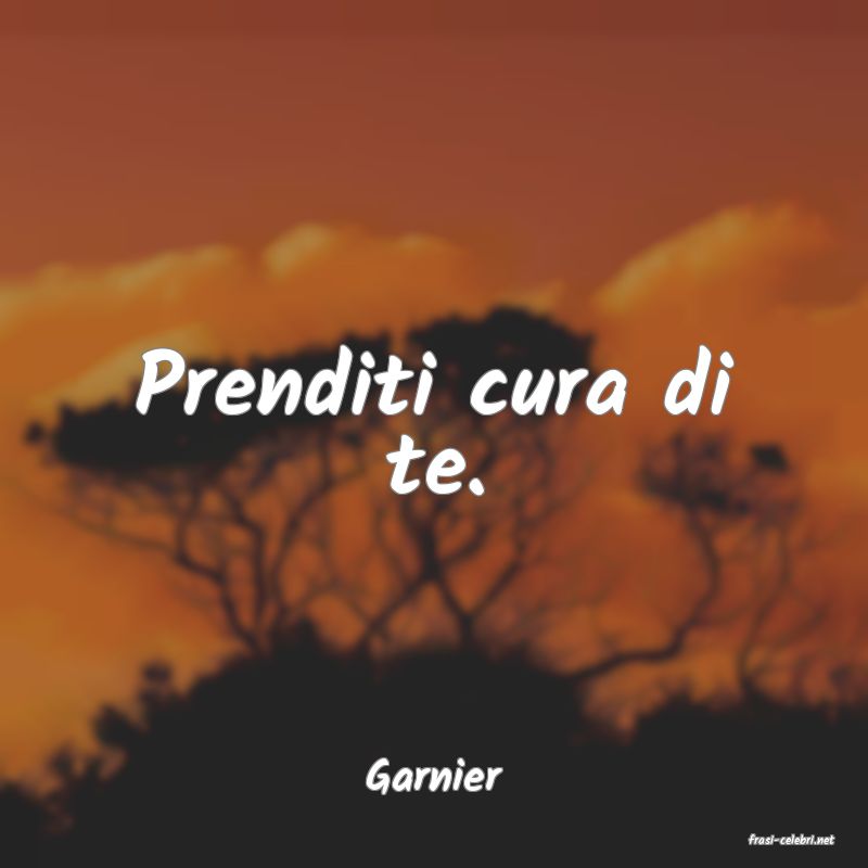 frasi di Garnier