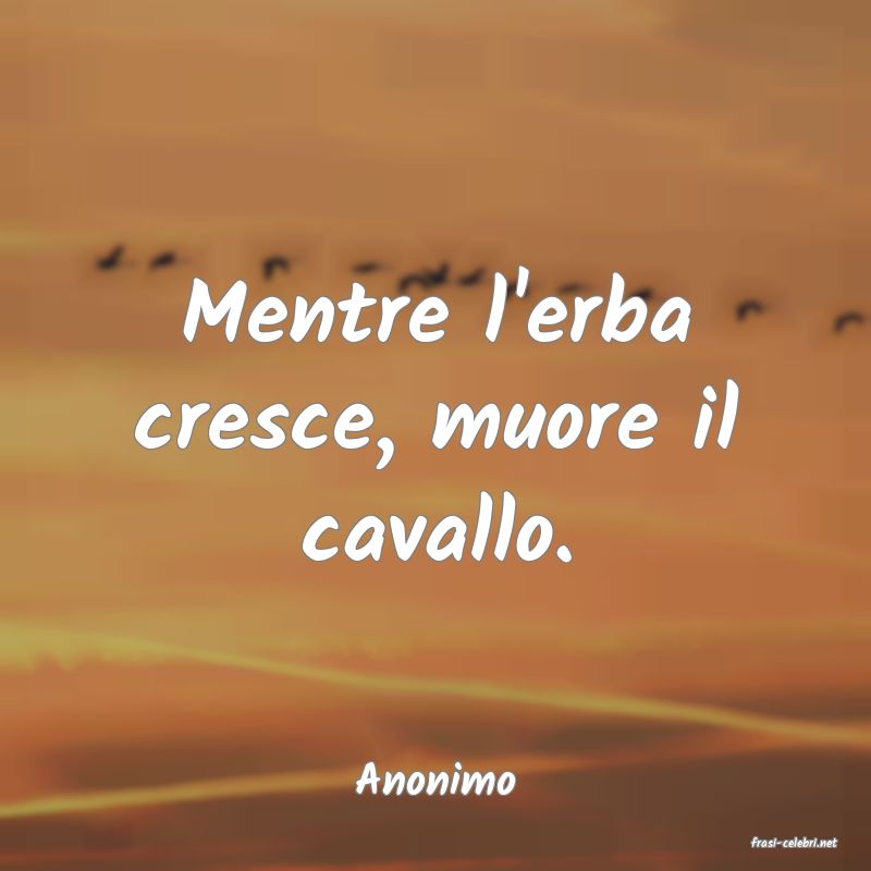 frasi di Anonimo