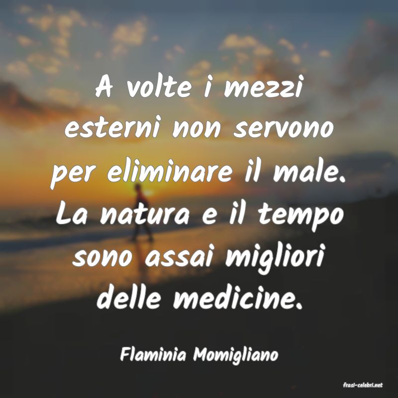 frasi di Flaminia Momigliano