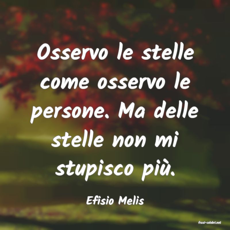 frasi di  Efisio Melis

