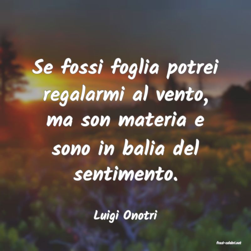 frasi di  Luigi Onotri
