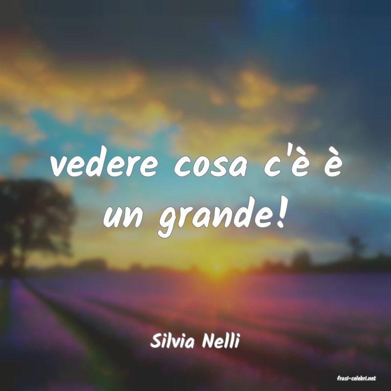 frasi di  Silvia Nelli

