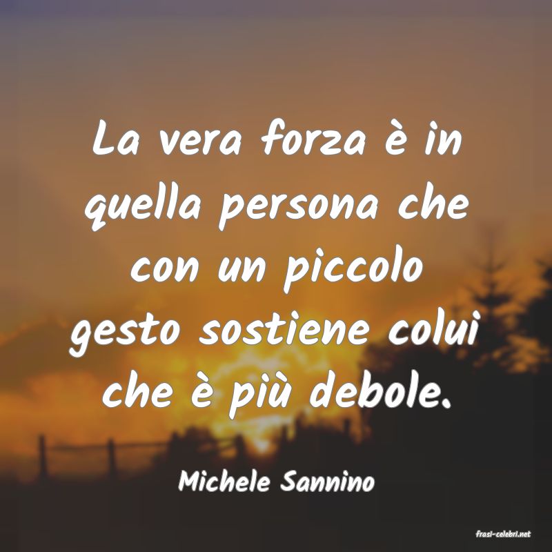 frasi di  Michele Sannino
