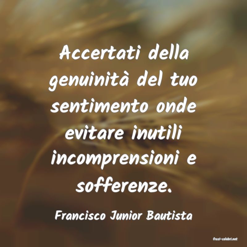 frasi di  Francisco Junior Bautista
