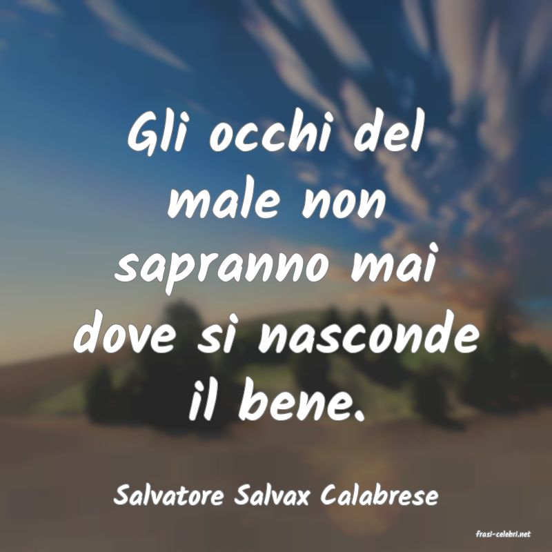frasi di Salvatore Salvax Calabrese