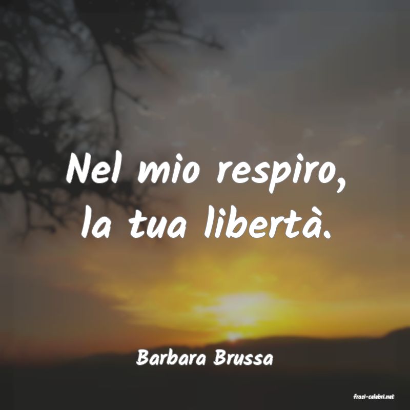 frasi di  Barbara Brussa
