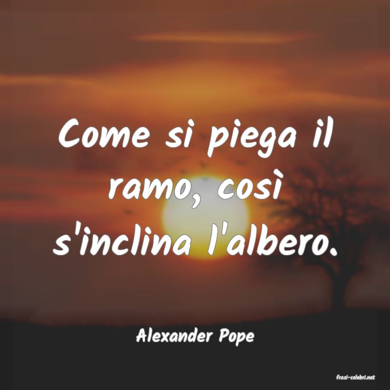 frasi di  Alexander Pope
