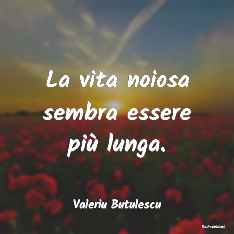 frasi di  Valeriu Butulescu
