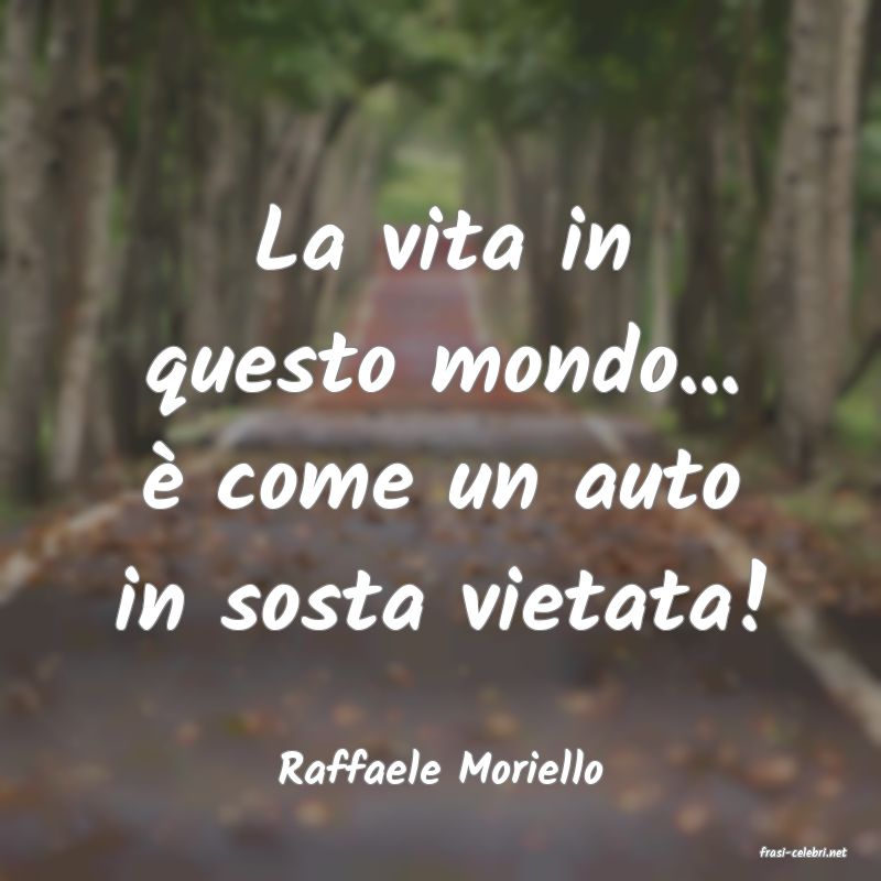 frasi di  Raffaele Moriello
