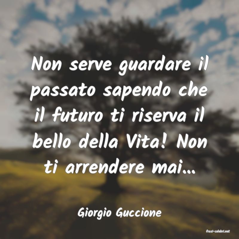 frasi di Giorgio Guccione