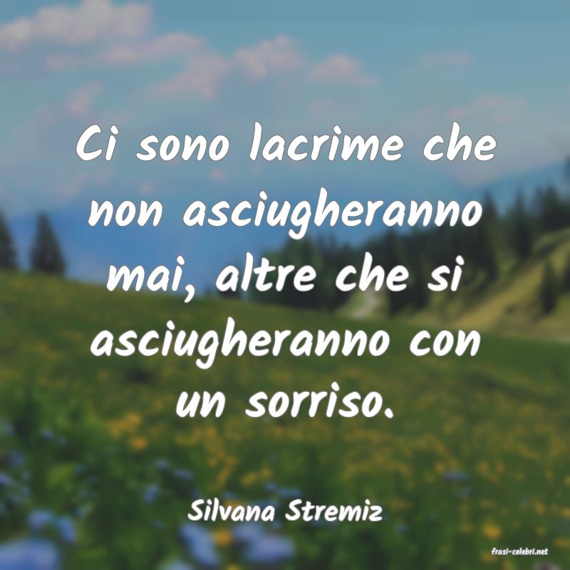 frasi di Silvana Stremiz