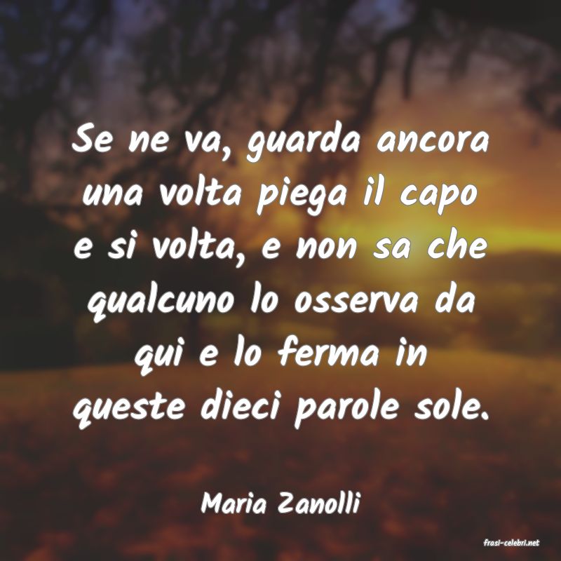frasi di Maria Zanolli