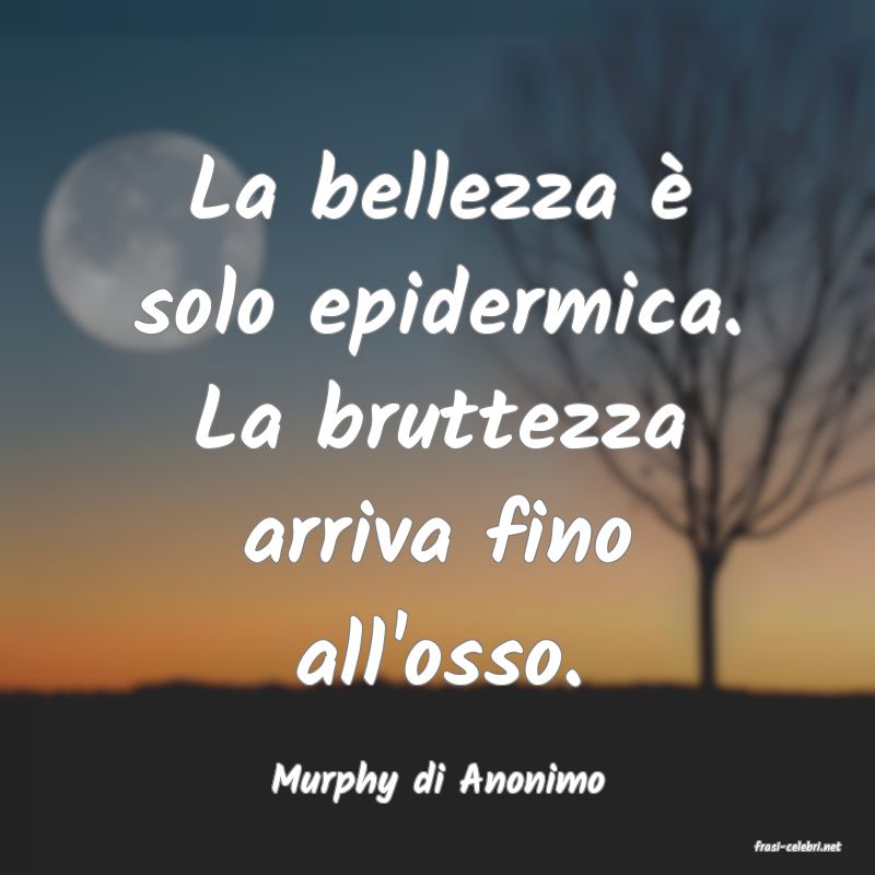 frasi di Murphy di Anonimo