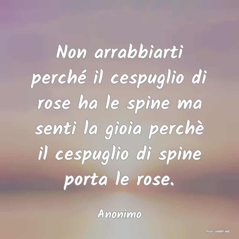 frasi di Anonimo