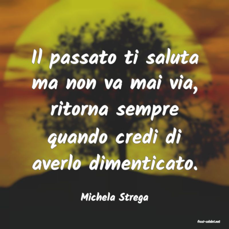 frasi di  Michela Strega

