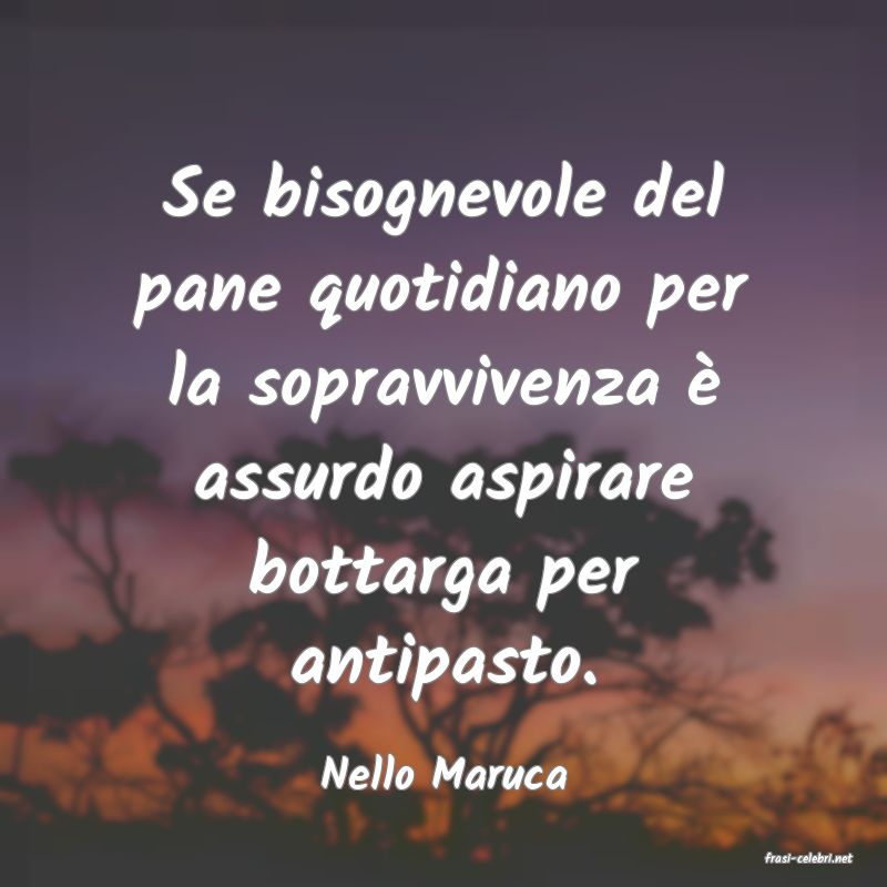 frasi di  Nello Maruca
