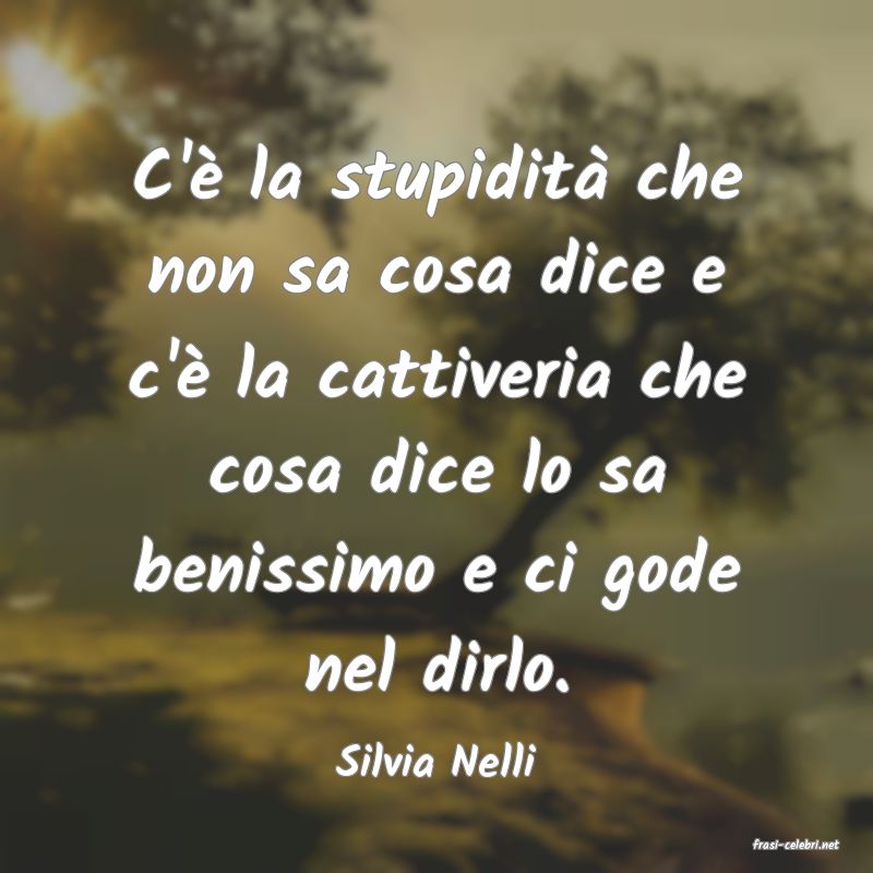 frasi di  Silvia Nelli
