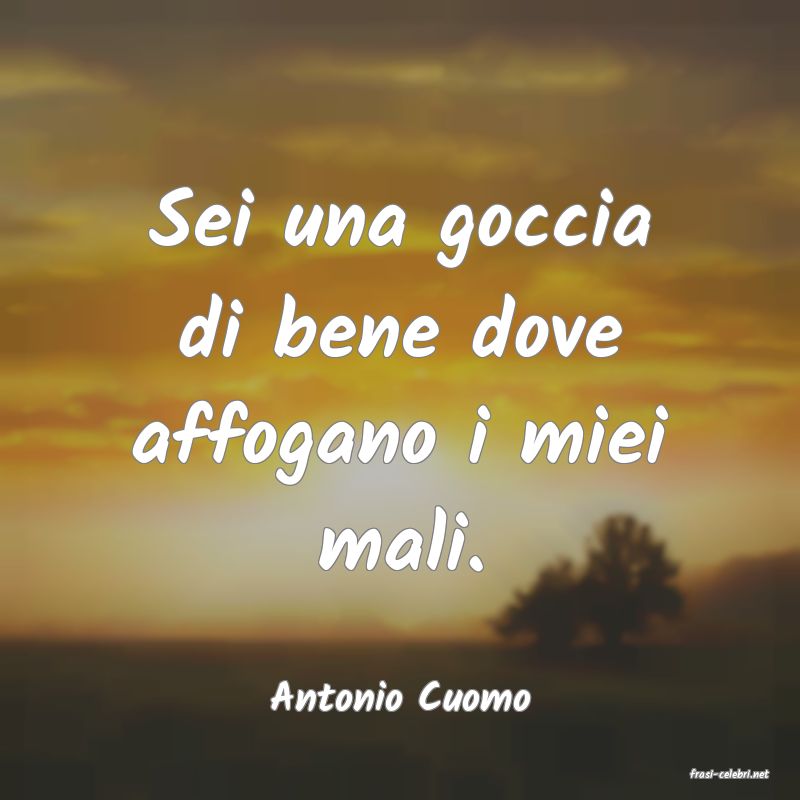 frasi di  Antonio Cuomo
